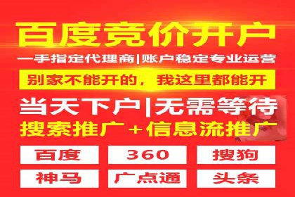 行业领先SEM托管代运营案例